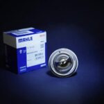 ترموستات ماهله ده تن مایلر