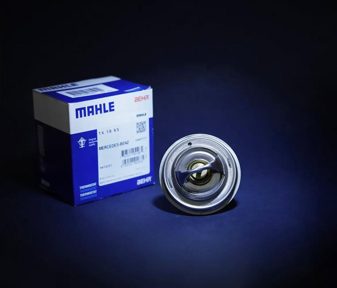 ترموستات ماهله ده تن مایلر