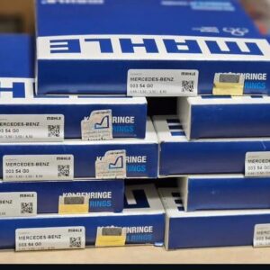 رینگ موتور ماهله المان ده تن مایلر