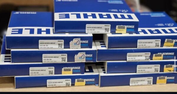 رینگ موتور ماهله المان ده تن مایلر