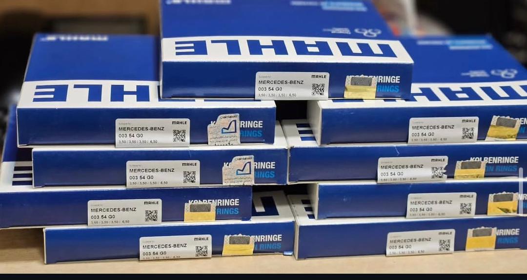 رینگ موتور ماهله المان ده تن مایلر